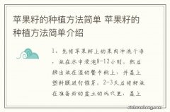 苹果籽的种植方法简单 苹果籽的种植方法简单介绍