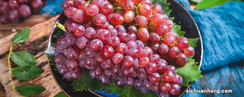 橘子是热性还是凉性 提子是热性还是凉性