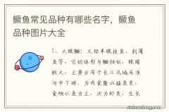 鳜鱼常见品种有哪些名字，鳜鱼品种图片大全