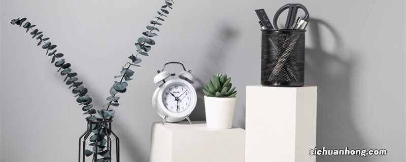 尤加利果花语和寓意 尤加利果花语