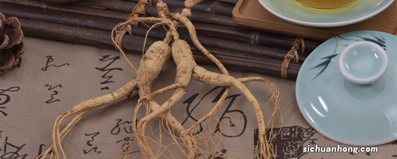 人参会跑吗为什么要绑红绳 人参会跑吗