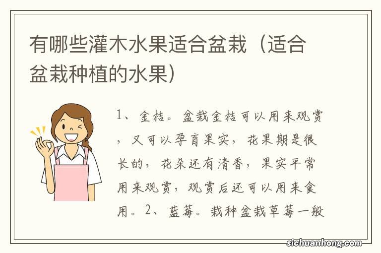 适合盆栽种植的水果 有哪些灌木水果适合盆栽