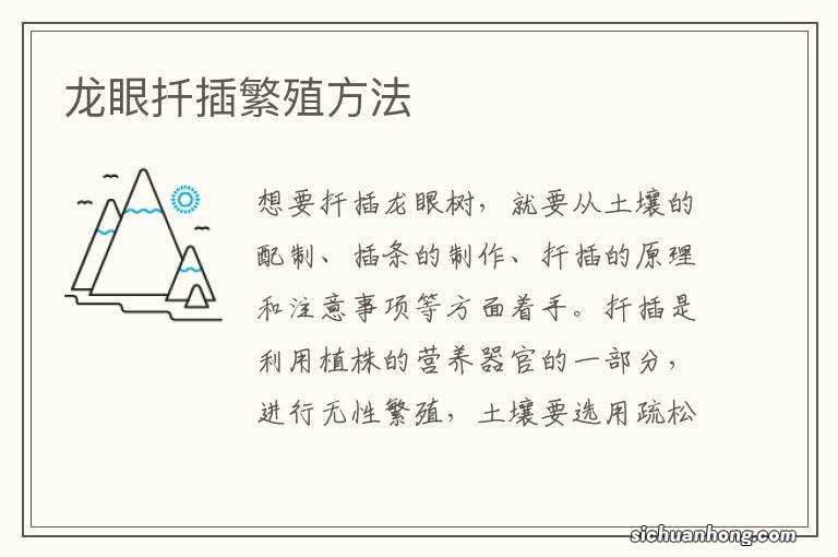 龙眼扦插繁殖方法