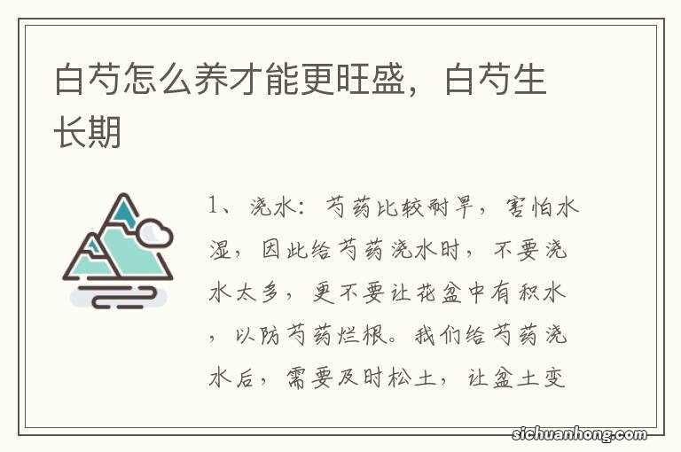 白芍怎么养才能更旺盛,白芍生长期