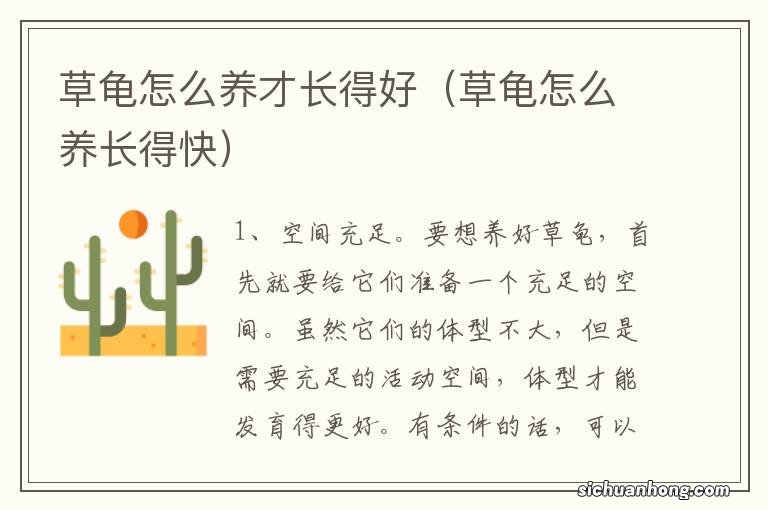 草龟怎么养长得快 草龟怎么养才长得好