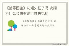 《猎罪图鉴》沈翊失忆了吗 沈翊为什么会患有逆行性失忆症