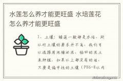 水莲怎么养才能更旺盛 水培莲花怎么养才能更旺盛