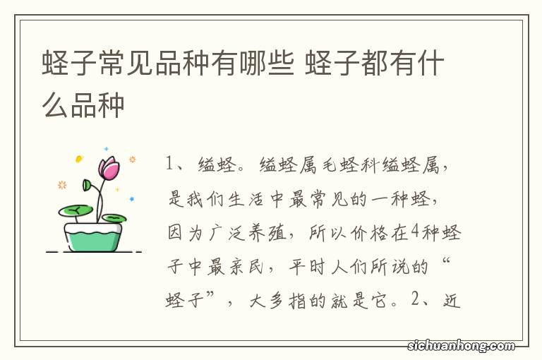 蛏子常见品种有哪些 蛏子都有什么品种