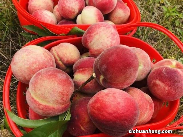 石柱之秋 | 到北纬30°的人间仙境,体验小隐于野的原始生活