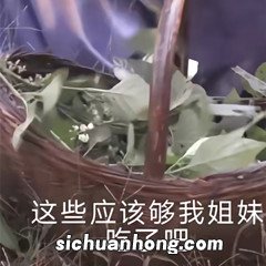 王宝钏挖野菜图片高清 王宝钏挖野菜表情包图片