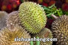 榴莲还没熟怎么办?生的榴莲可以吃吗?