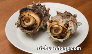 常见螺有哪些品种 螺的品种有哪些