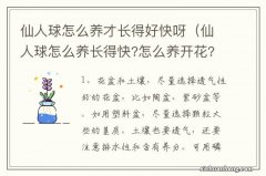 仙人球怎么养长得快?怎么养开花? 仙人球怎么养才长得好快呀