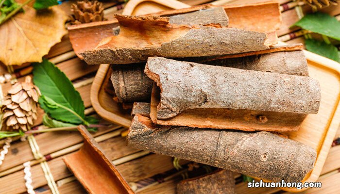 肉桂是什么茶种 肉桂是什么