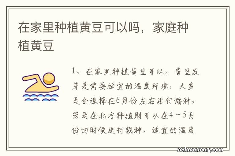 在家里种植黄豆可以吗,家庭种植黄豆