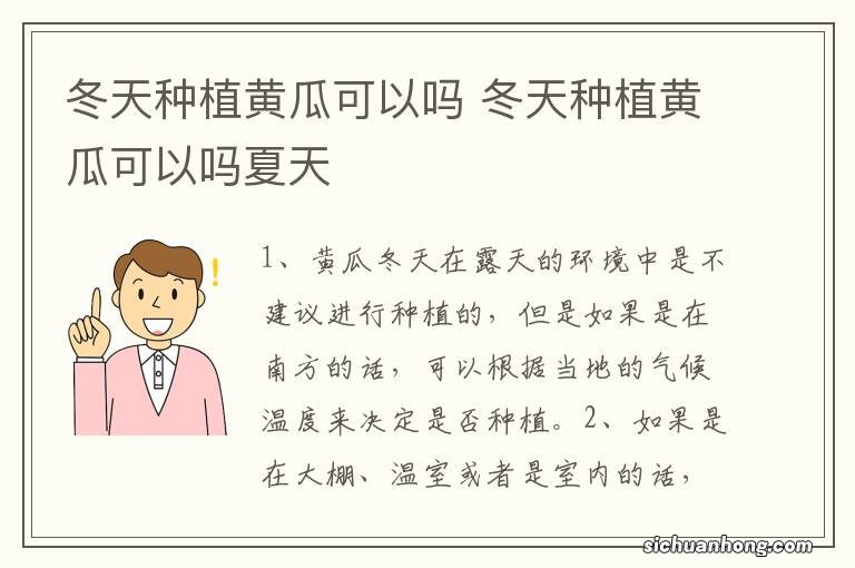 冬天种植黄瓜可以吗 冬天种植黄瓜可以吗夏天