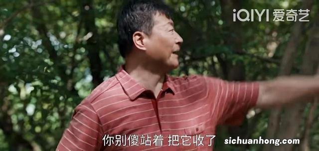 《县委大院》里,懂农村生活,演技最好的村支书,三宝让他演活啦