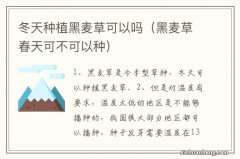 黑麦草春天可不可以种 冬天种植黑麦草可以吗