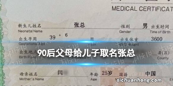 90后父母给儿子取名张总 90后父母给儿子硬核取名叫张总