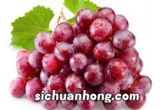葡萄里面的籽能吃吗?吃葡萄籽有什么好处吗?