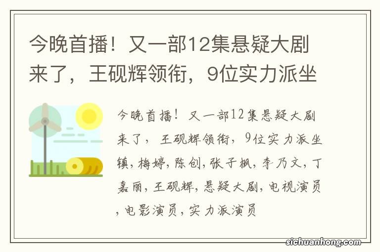 今晚首播!又一部12集悬疑大剧来了,王砚辉领衔,9位实力派坐镇