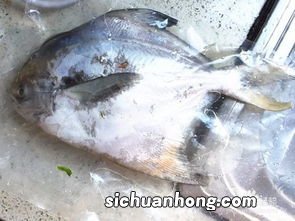 冷冻鲳鳊鱼怎么处理