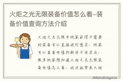 火炬之光无限装备价值怎么看-装备价值查询方法介绍