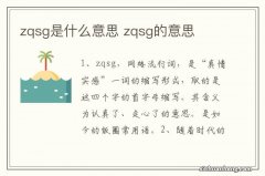 zqsg是什么意思 zqsg的意思