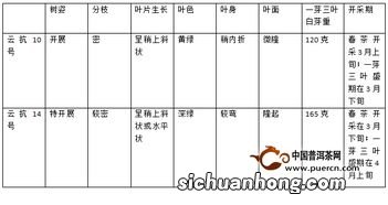 什么是云抗10号