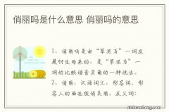 俏丽吗是什么意思 俏丽吗的意思