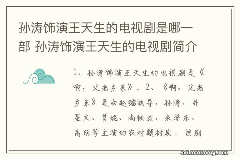 孙涛饰演王天生的电视剧是哪一部 孙涛饰演王天生的电视剧简介