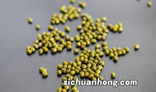 冬天种植绿豆苗可以吗 冬天种植绿豆苗可以吗北方