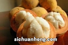 桃子和猪肉可以一起吃吗?牛肉和桃子可以一起吃吗?