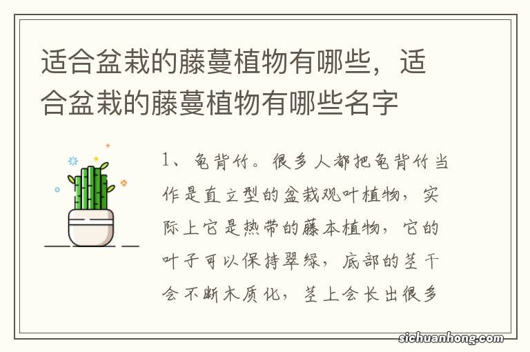 适合盆栽的藤蔓植物有哪些，适合盆栽的藤蔓植物有哪些名字