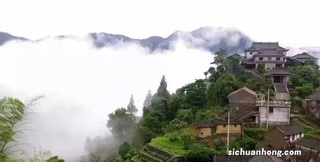 浙江最会藏的小吃王国，秋天到了，边走边添“秋膘”吧！