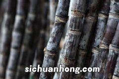 什么时候不宜吃西瓜?哪些人不适合吃西瓜?