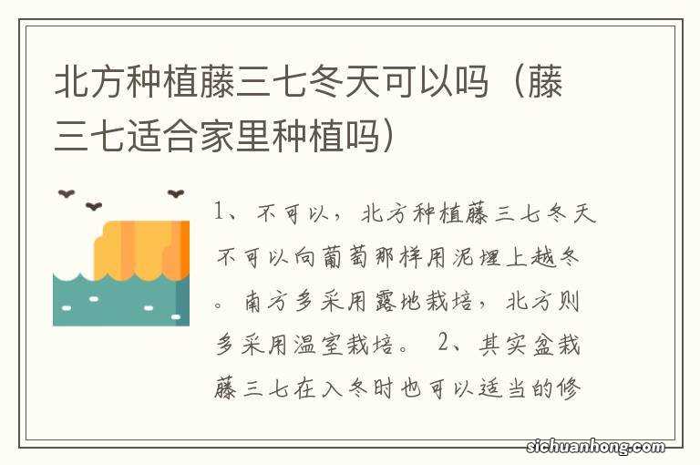 藤三七适合家里种植吗 北方种植藤三七冬天可以吗