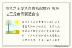 咸鱼之王龙鱼青囊搭配推荐 咸鱼之王龙鱼青囊适合谁