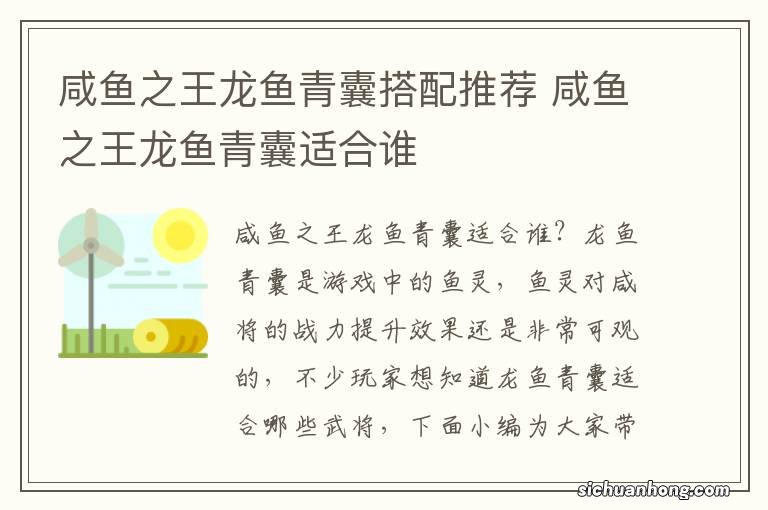 咸鱼之王龙鱼青囊搭配推荐 咸鱼之王龙鱼青囊适合谁