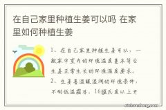 在自己家里种植生姜可以吗 在家里如何种植生姜