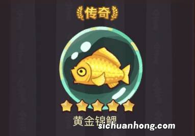 咸鱼之王黄金锦鲤搭配推荐 咸鱼之王黄金锦鲤适合谁