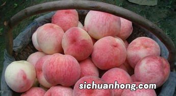 桃子削皮可以放多久