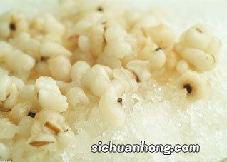 女性经期嗜睡要多喝薏米粥