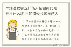 早知道爱会这样伤人情会如此难枕是什么歌 早知道爱会这样伤人情会如此难枕什么歌