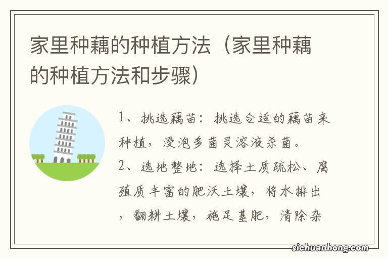 家里种藕的种植方法和步骤 家里种藕的种植方法