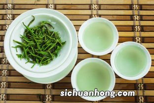 为什么春茶苦夏茶涩