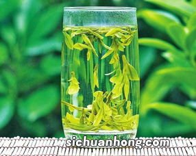 为什么春茶苦夏茶涩
