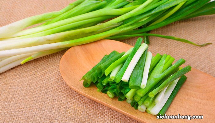 怎么种蒜苗水培 怎么种蒜苗