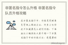 非匿名指令怎么升格 非匿名指令队员升格攻略