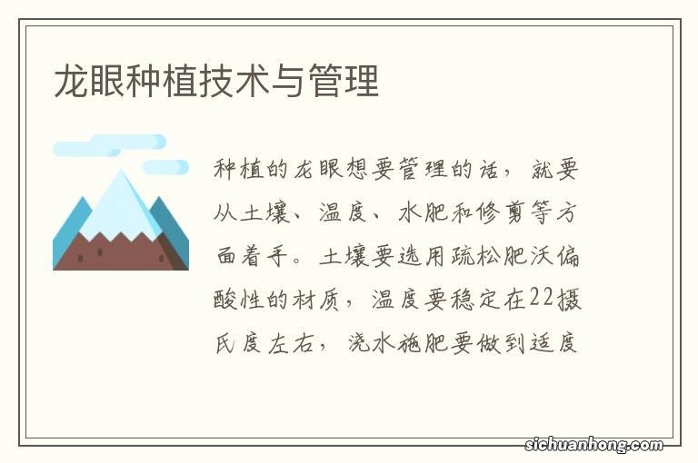 龙眼种植技术与管理